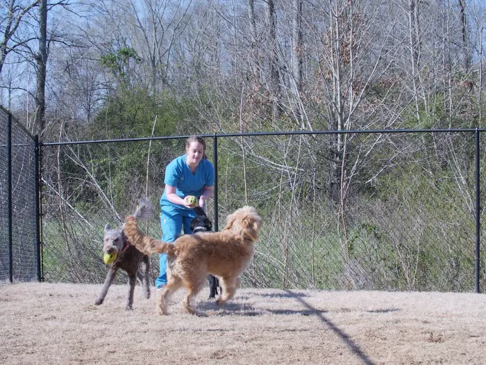 Eastside Animal Hospital Picture 9