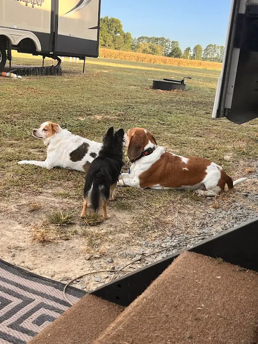 Eastside Animal Hospital Picture 8