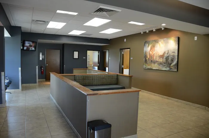 Town & Country Animal Hospital Picture 2