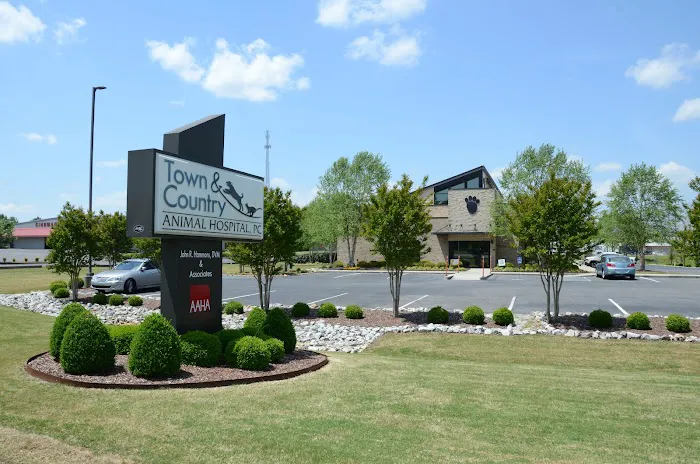 Town & Country Animal Hospital Picture 4