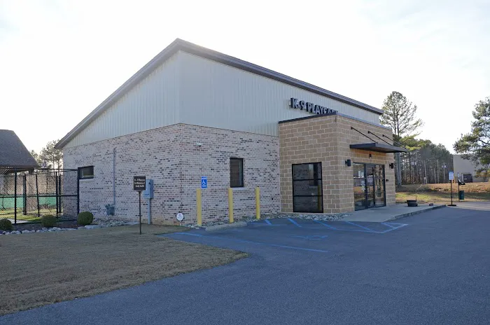 Town & Country Animal Hospital Picture 1