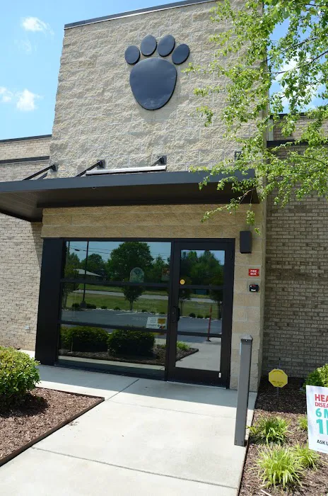 Town & Country Animal Hospital Picture 10