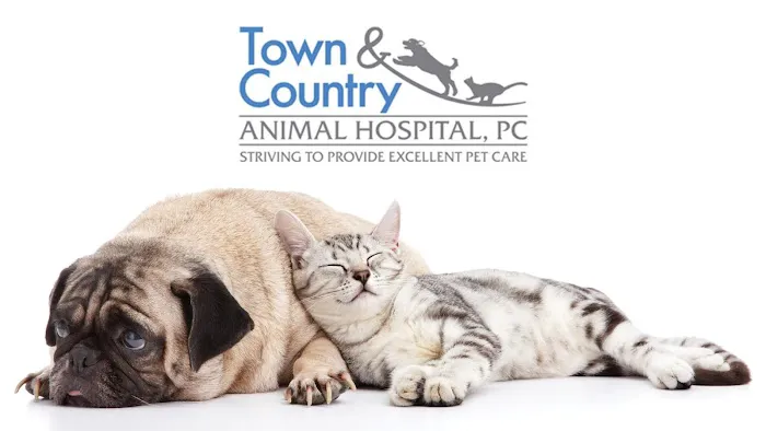 Town & Country Animal Hospital Picture 9