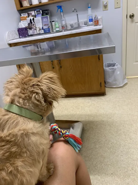 Athens Animal Hospital Picture 3