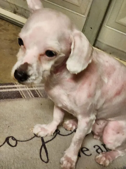 Athens Animal Hospital Picture 2