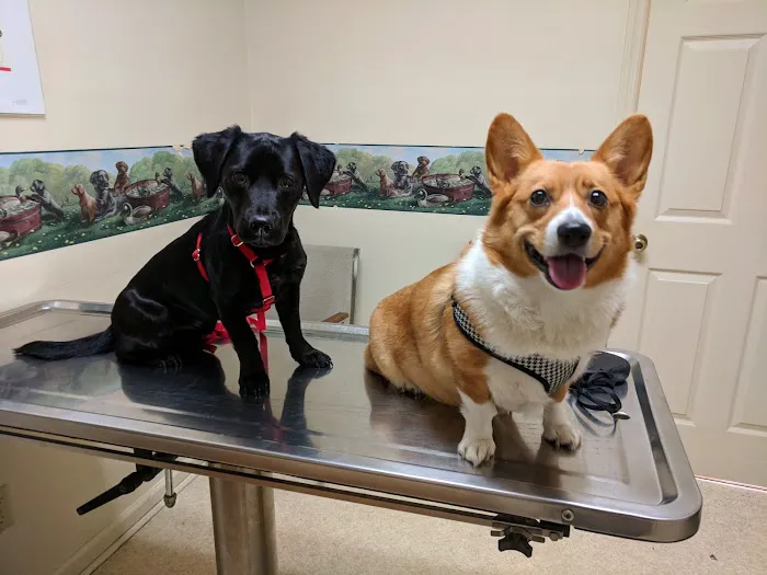 Athens Animal Hospital Picture 4