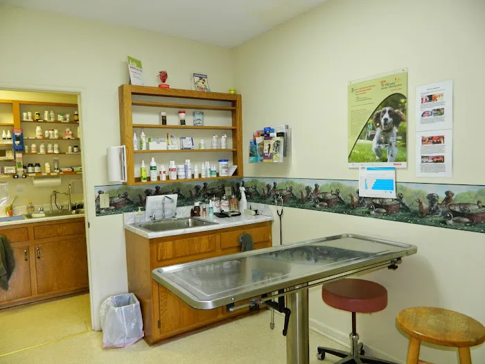 Athens Animal Hospital Picture 9
