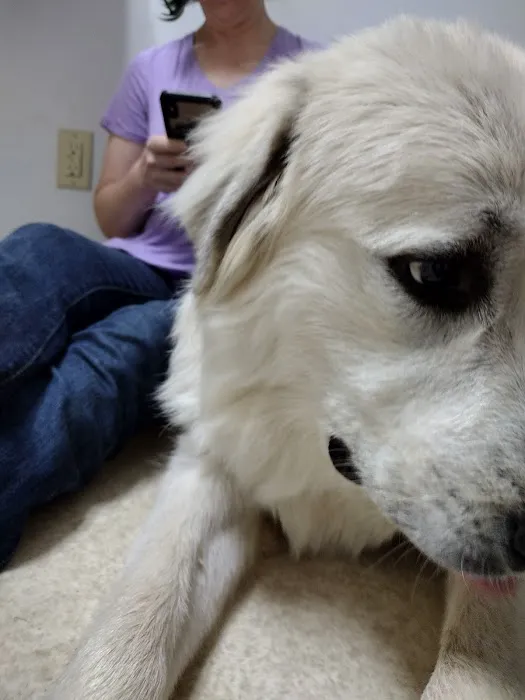 Athens Animal Hospital Picture 5