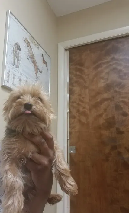 Whitworth Animal Clinic Inc Picture 4