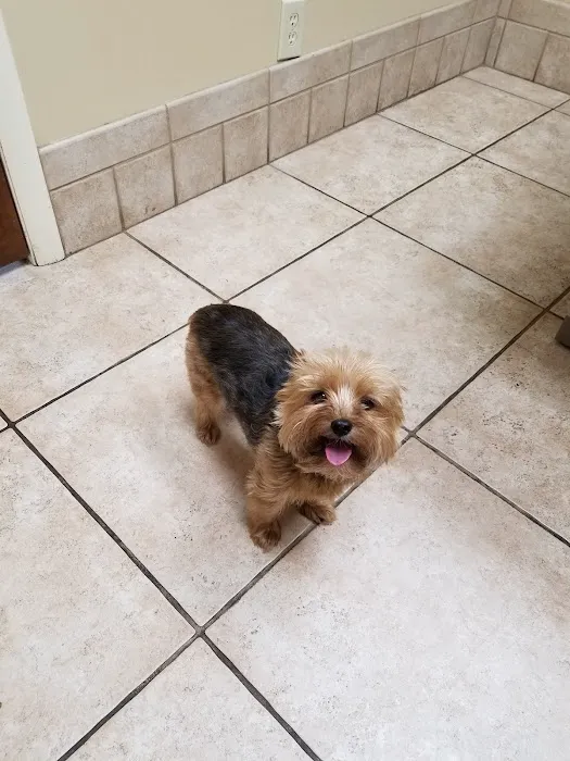 Whitworth Animal Clinic Inc Picture 6