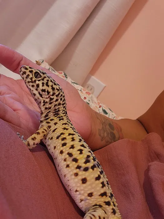 Companion Animal Care Picture 1