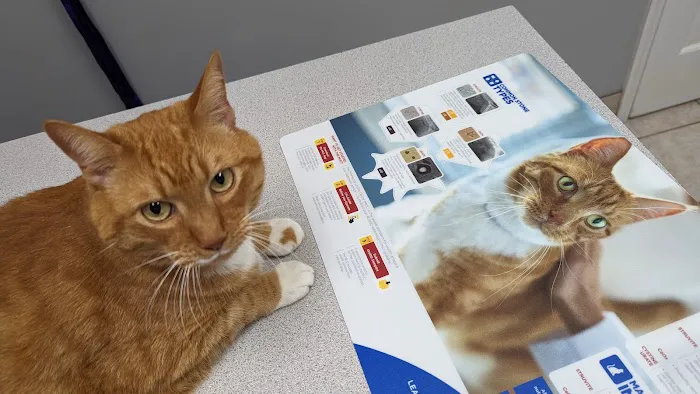 Companion Animal Care Picture 2