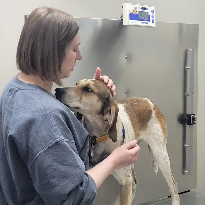 Madison Veterinary Hospital Picture 9