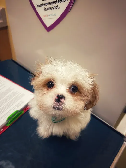 Trusty Vet Picture 2