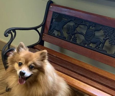 Red Barn Animal Hospital