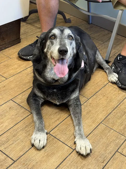 Red Barn Animal Hospital Picture 3
