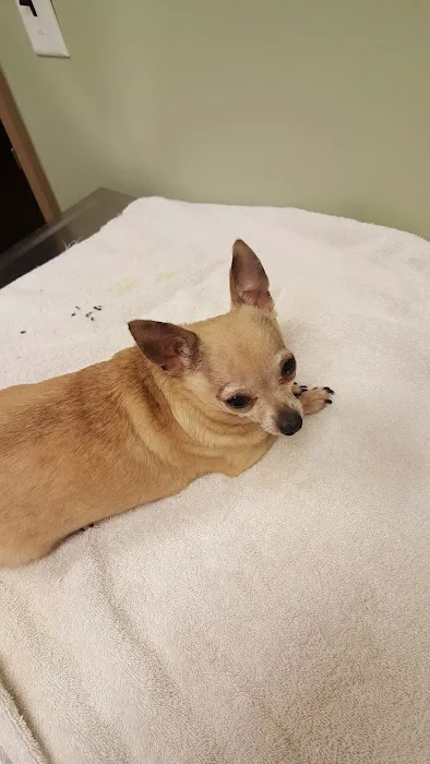 Red Barn Animal Hospital Picture 8