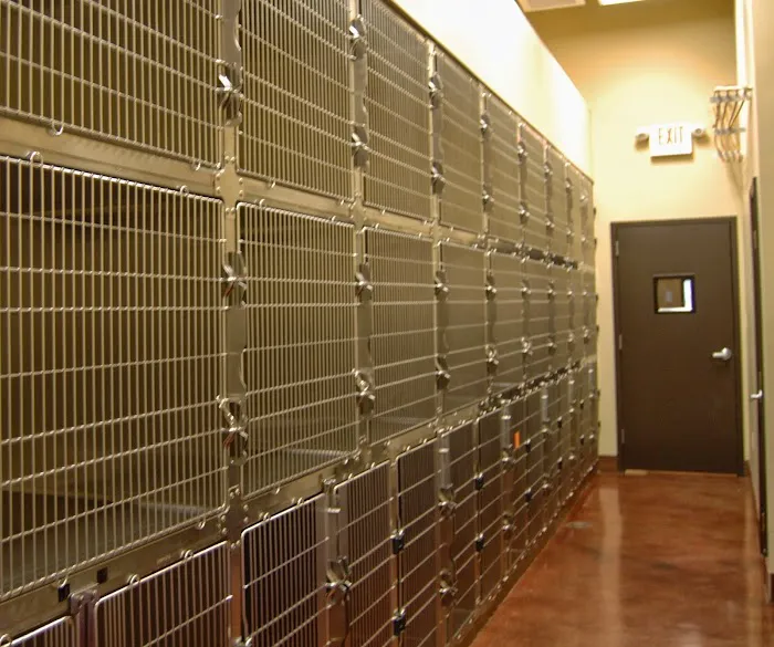 West Madison Veterinary Hospital and Pet Resort Picture 3