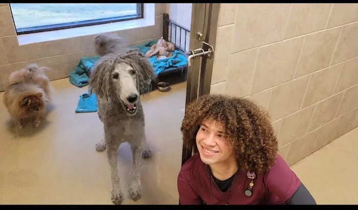 West Madison Veterinary Hospital and Pet Resort Picture 1
