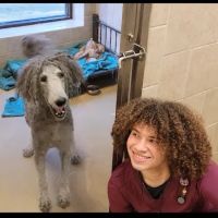 West Madison Veterinary Hospital and Pet Resort ico