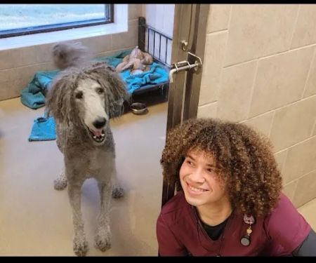 West Madison Veterinary Hospital and Pet Resort
