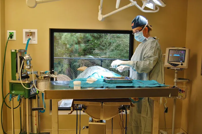 West Madison Veterinary Hospital and Pet Resort Picture 7