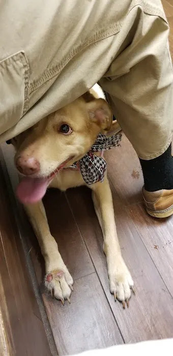 West Madison Veterinary Hospital and Pet Resort Picture 6