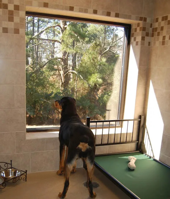 West Madison Veterinary Hospital and Pet Resort Picture 8