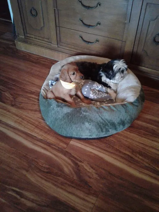 Animal Clinic Picture 2