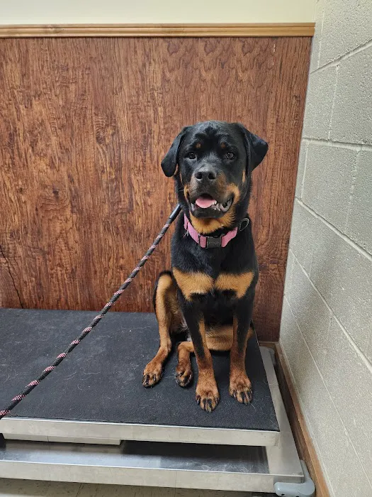 Pulaski Veterinary Clinic Picture 8
