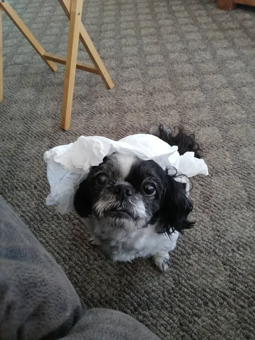 Pulaski Veterinary Clinic Picture 7