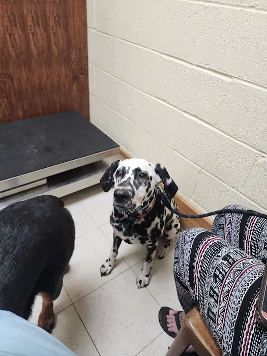 Pulaski Veterinary Clinic Picture 10