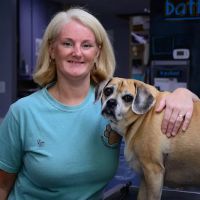 Giles County Animal Hospital ico