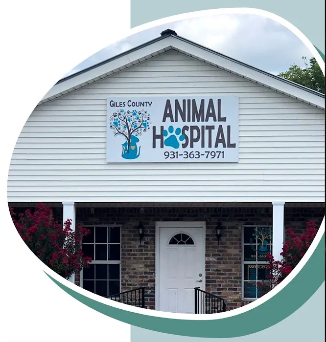 Giles County Animal Hospital Picture 9