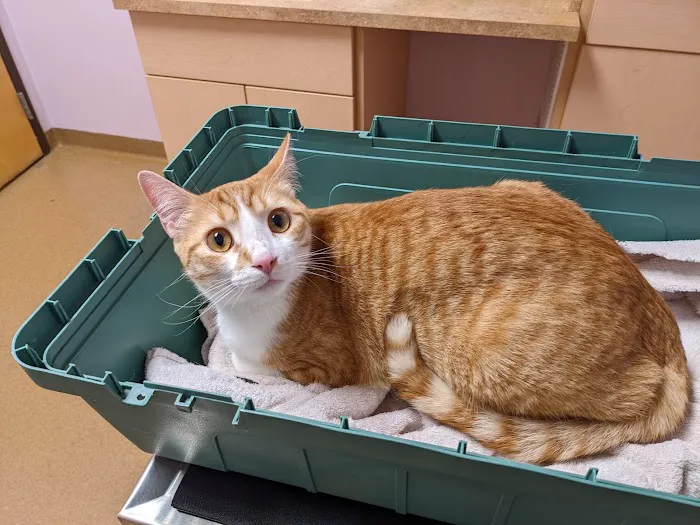 All Pets Health Center Picture 1