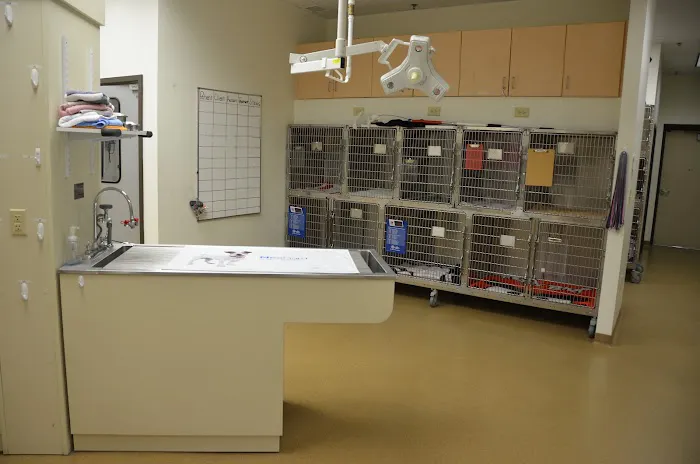 All Pets Health Center Picture 5