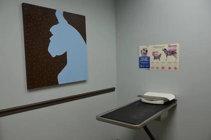 All Pets Health Center Picture 3