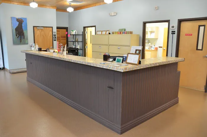 All Pets Health Center Picture 9