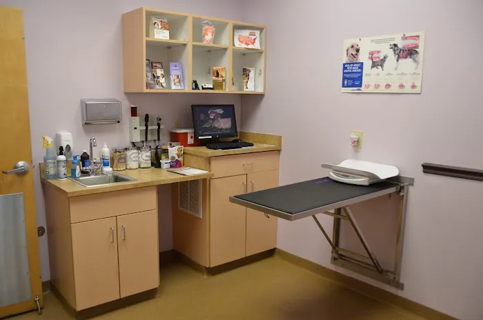 All Pets Health Center Picture 8