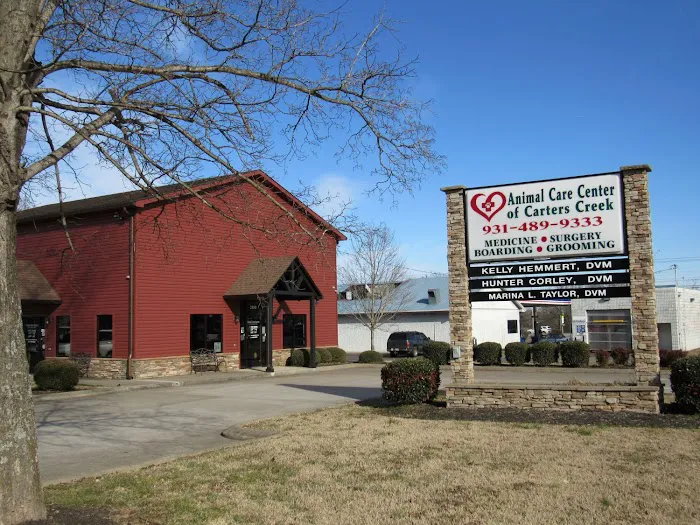 Animal Care Center of Carters Creek Picture 3