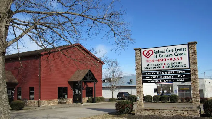 Animal Care Center of Carters Creek Picture 10