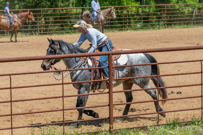 Tennessee Equine Hospital Picture 2
