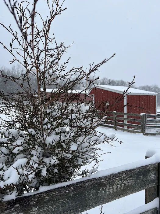 Tennessee Equine Hospital Picture 3