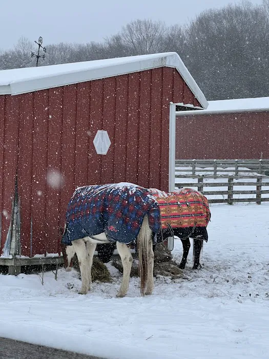 Tennessee Equine Hospital Picture 6