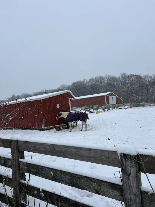 Tennessee Equine Hospital Picture 4