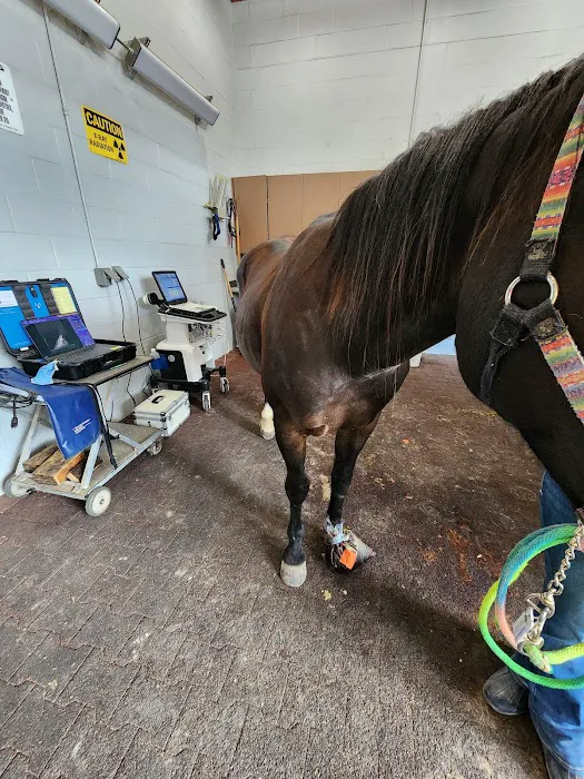 Tennessee Equine Hospital Picture 8