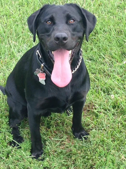 Mc Minnville Animal Care Picture 3