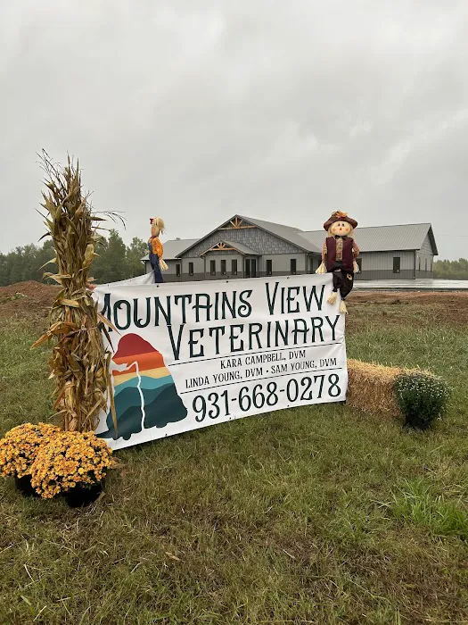 Mountains View Veterinary Picture 5