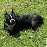 Sparta Road Veterinary Clinic