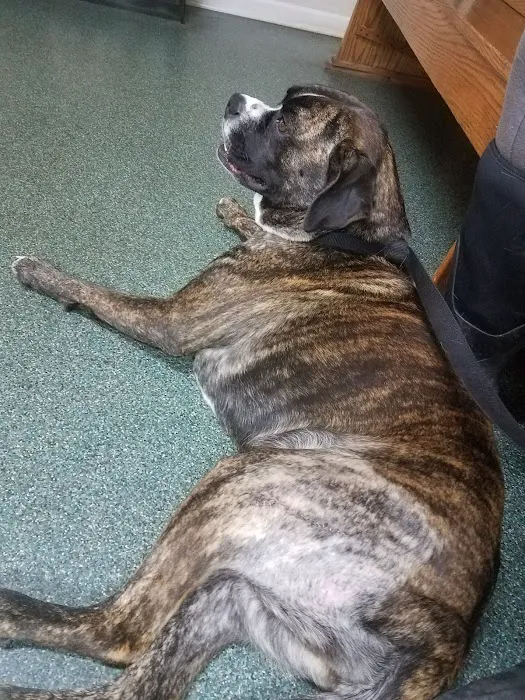 Sparta Road Veterinary Clinic Picture 8